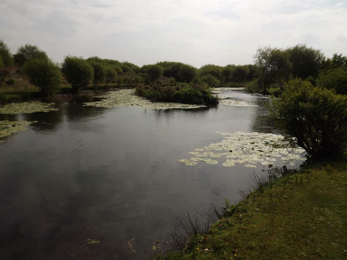 Marsh Water Ponds Fishery Villa Kidwelly Exterior foto