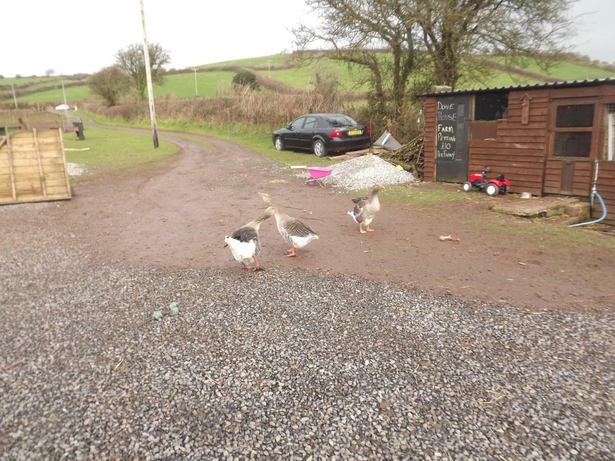 Marsh Water Ponds Fishery Villa Kidwelly Exterior foto