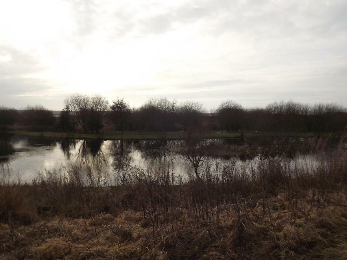 Marsh Water Ponds Fishery Villa Kidwelly Exterior foto